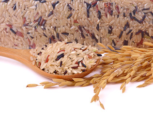 brown rice and white  rice on white background