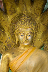 The  Buddha Head in Thailand temple