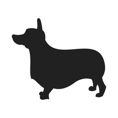 Corgi Black Silhouette