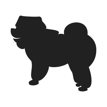 recommend clip art: Chow Black Silhouette