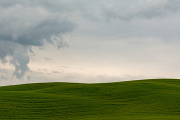 Fototapeta na wymiar Tuscany hill on a cloudy day