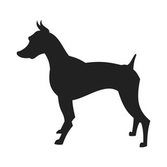 Black Male Doberman Silhouette