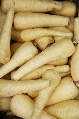 A full page of parsnip vegetable background texture