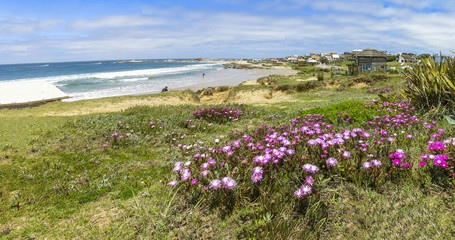 View of Punta del Diablo, Uruguay