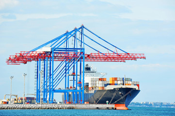 Cargo crane and ship