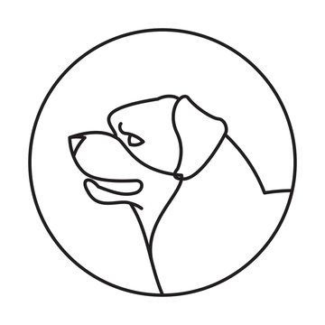 Dog head rottweiler in a linear style