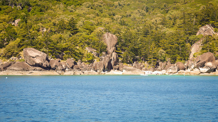 Fototapeta premium Strand auf den Whitsunday Islands, Queensland in Australien