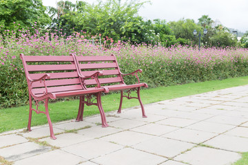 Bench in the park