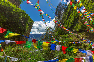 a lot of colorful prayer flags on the walking tril to Tiger nest monastery, Taktshang Goemba in Bhutan
