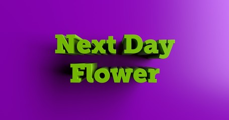 Next Day Flower Delivery - 3D rendered colorful headline illustration.  Can be used for an online banner ad or a print postcard.