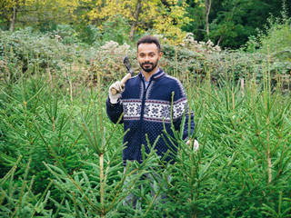 Plantation Christmas trees young man with small ax controls the growth of fir trees and chooses which must be cut to be sold for holidays
