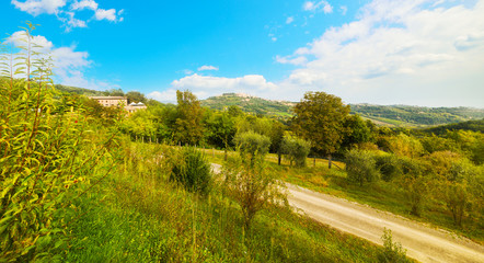 Fototapeta na wymiar green valley in Tuscany