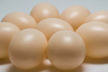 Group of Eggs
