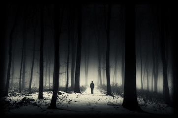 Obraz premium ciemny zimowy las