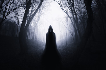 Hooded figure in dark forest