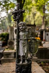 Fototapeta na wymiar Cmentarz, Święto zmarłych - wszystkich świętych
