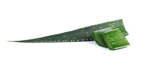 aloe vera fresh leaf isolated on white background.