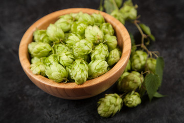 Fresh green hops