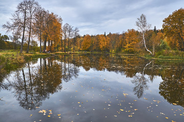 Fototapeta premium Reflections in autumn park