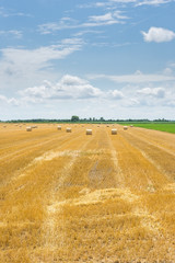 Fototapeta na wymiar Harvested field with bales