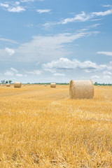 Fototapeta premium Bale of hay on a yellow harvesting field