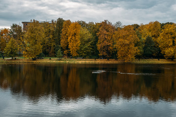 Colorful foliage in the autumn park