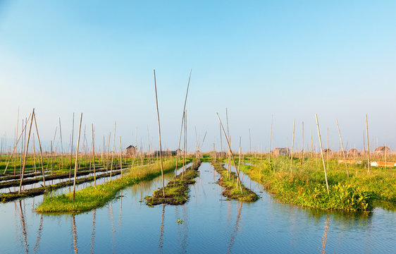Traditional floating gardens at Inle Lake area, Myanmar, Asia