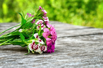 Bouquet of small carnations on a wooden background