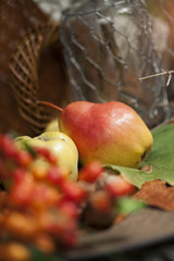 Autumn fruit close up, pears 