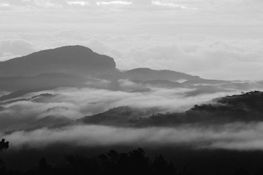 Fototapeta Monochrome in black and white with grain of mountain Inthanon national park in Chiangmai, Thailand