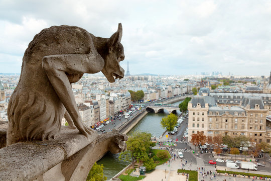 Gargoyle of Notre Dame in Paris. River and Eiffel tower on backg