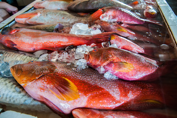 Fresh Fish In An Open Market