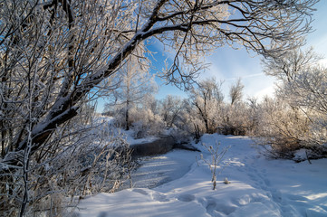 зимняя панорама заснеженного леса с замерзшим ручьем, Россия, Урал