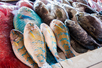Fresh fish being sold at a local fish market.  This fish will endup on families dinner table in the form of amazing local seafood cuisine.  Location: Lido, Kota Kinabalu, Sabah, Malaysia.