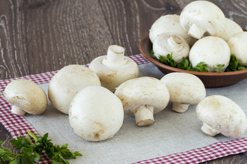 edible raw mushrooms