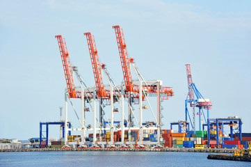 Fototapeta premium Port cargo crane and container