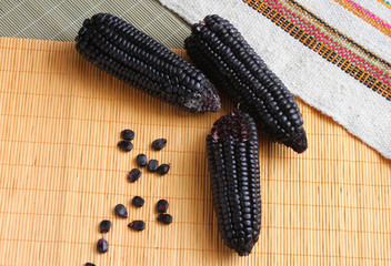 Purple Corn Cobs with Kernels