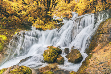 autumn forest waterfall water nature wild river outdoor