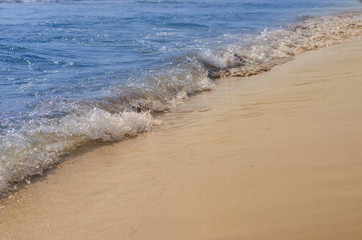 Beautiful little wave of the Sea covering a sandy beach