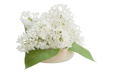 Bouquet of lilac, isolated on white background