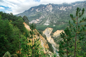 Fototapeta na wymiar River canyon, green forest mountains, nature landscape