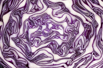 Fototapeta premium Red cabbage in cross section. Mysterious maze of vegetable.