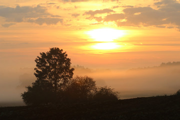 Rising sun over rural countryside