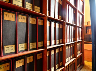 herbier, archives botanique, 