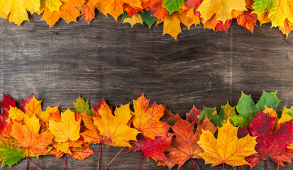 Naklejka na ściany i meble Autumn background. Fallen yellow,red,autumn leaves.