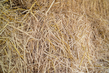 Background texture of large stacks of hay in a barn. Agriculture and harvest concept.
