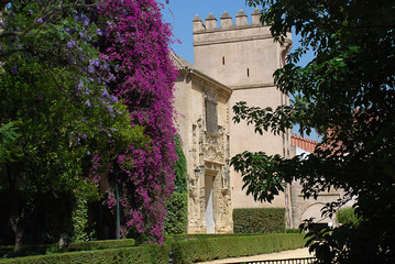 Fototapeta na wymiar Seville (Spain): The Alcázar Gardens