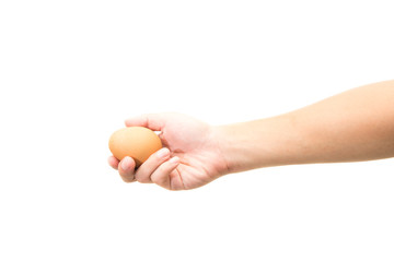 Hand holds a brown egg on a white background