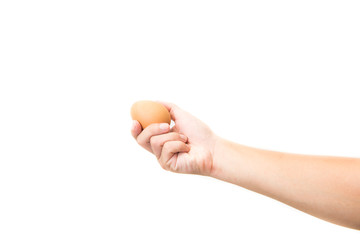 Hand holds a brown egg on a white background