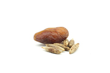 Seed of Medjool dates or palm fruit on white background